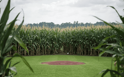 Field of Leadership